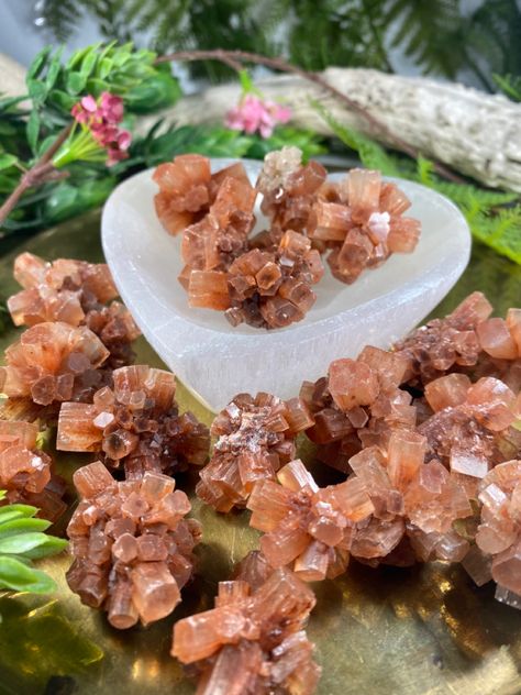 Lovely translucent reddish brown Aragonite Stars or Sputniks Morocco Pictures, Aragonite Crystals, Butterfly Museum, Minerals Crystals Stones, Star Clusters, Crystal Vibes, Star Cluster, Cool Rocks, Power Crystals