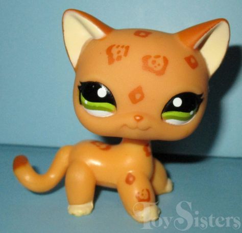 Cat Checklist, Lps Shorthair, Lps Popular, Lps Cats, Lps Toys, Lps Pets, Little Pet Shop Toys, Lps Littlest Pet Shop, Shorthair Cat