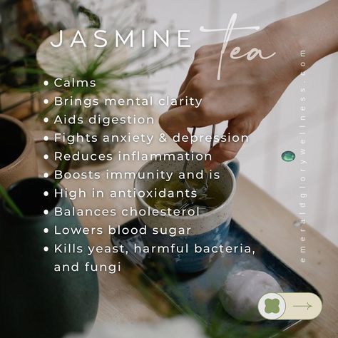 Meet the NEWEST Tea and Essential Oil @emeraldglory_wellness ! It’s the elegant, ancient and MIRACULOUS Jasmine! Scroll through to see some of the incredible benefits and more. Or just say JASMINE and I’ll sent you a DM to all things JASMINE from the shop 💚 #emeraldglory #jasmine #bible #freedominYeshua Jasmine Flower Benefits, Jasmine Witchcraft Uses, Jasmine Oil Benefits, Jasmine Tea Benefits, Jasmine Flower Tea Benefits, Jasmine Tea Aesthetic, Jasmine Tea Flower, Jasmine Pearl Tea, Fragrance Quote