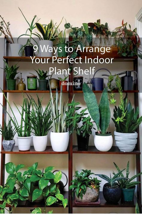 Large Plant Shelf, Tall Plant Shelf Indoor, Plant Shelf Entryway, Plant Bookcase Ideas, Styling Plant Shelves, Plants Set Up, Plant Shelf Styling, Outdoor Plant Shelf Ideas, Diy Plant Shelf Indoor