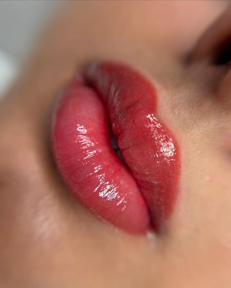 🖇️DARK NEUTRALIZATION + LIP BLUSH ▫️Duration: 2-2.5 hours ▫️Healing time: 5-7days ▫️End Result visible: 8-10weeks ▫️Pain level: Mild (numbing used before and during) . . . #lipstoronto #torontolips #torontolipfiller #torontolipblush #lipblushtoronto #liptattotoronto #torontoliptattoo #toronto #torontopermanentmakeup #permanentmakeuptoronto Dark Lip Neutralization, Lip Neutralization, Permanent Makeup Artist, Lip Blushing, Lips Photo, Metallic Lipstick, Lip Blush, Dirty Jokes Funny, Lip Beauty