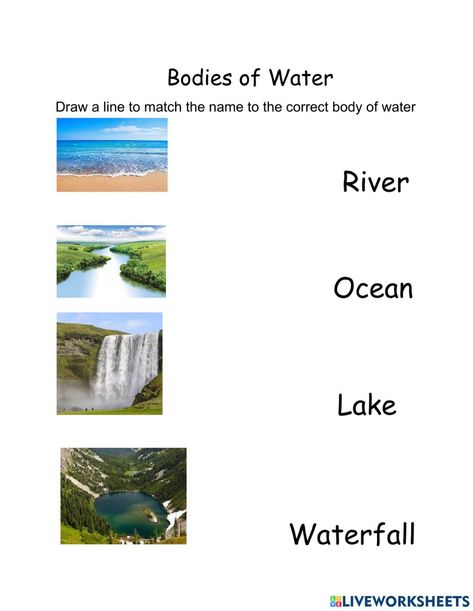 Sources Of Water Images, Water Activities Preschool, Animals Live In Water, Fun Science Worksheets, Landforms And Bodies Of Water, Sources Of Water, Water Forms, Water Cycle Worksheet, Esl Materials