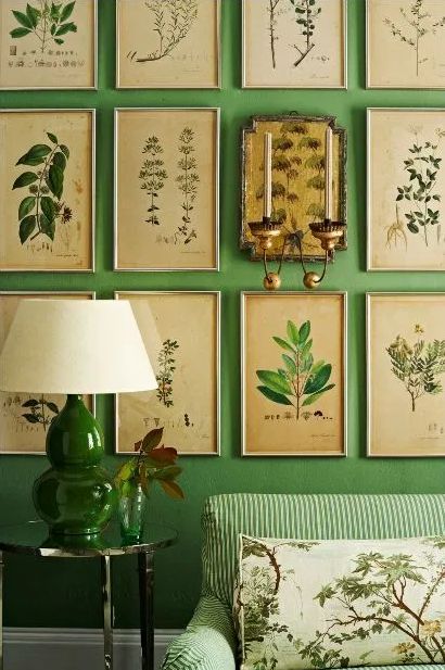 Botanical Bedroom, Green Living Room Decor, Framed Botanical Prints, Cottage Shabby Chic, Green Walls, Trendy Living Rooms, Botanical Decor, Framed Botanicals, Coron