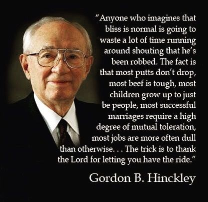 Wise counsel; ... “Anyone who imagines that bliss is normal is going to waste a lot of time running around shouting that he’s been robbed. The fact is that… Life is like an old time rail journey with delays, sidetracks, smoke, dust, cinders and jolts, interspersed only occasionally by beautiful vistas and thrilling burst of speed. The trick is to thank the Lord for letting you have the ride.” –Gordon B. Hinckley (source: Jenkins Lloyd Jones) Enjoy more facebook.com/GordonBHinckleypage. #passiton Kjv Quotes, Gordon B Hinckley Quotes, Gordon B Hinkley, Saints Quotes, Gospel Quotes, Conference Quotes, Church Quotes, Spiritual Thoughts, Saint Quotes