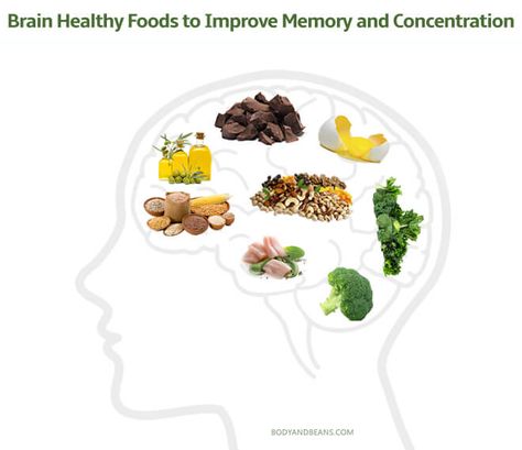 brain healthy foods to keep brain healthy and improve memory and concentration Foods That Improve Memory, Memory Health, Memory Improvement, Oily Fish, Good Brain Food, Brain Healthy Foods, Menstrual Health, Home Beauty Tips, Chocolate Nuts