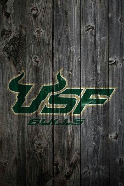 #USF #bulls Bulls Aesthetic, Long Hairstyles Bangs, Usf Football, Wavy Hair With Bangs, Bulls Wallpaper, Usf Bulls, Hairstyles Bangs, Florida Football, Graduation Picture