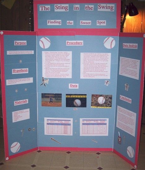 Science Projects about Baseball Bats Science Fair Topics, Bats Science, Science Fair Display Board, Science Fair Board, 3rd Grade Science, Science Fair Projects Boards, Science Experiments Kids Elementary, Cool Science Fair Projects, Science Fair Project