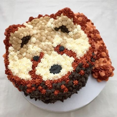 Red Panda Cake, Panda Birthday Cake, Panda Cake, Panda Birthday Party, Woodland Park Zoo, Sloth Birthday, Dad Birthday Cakes, Graduation Party Foods, Panda Birthday