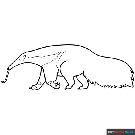 Free Anteater Coloring Page for Kids Anteater Tattoo, Anteater Drawing, Easy Drawing Guides, Drawing Guides, Popular Cartoons, Kids Print, Printable Coloring Sheets, Cat Coloring Page, Drawing Tutorial Easy