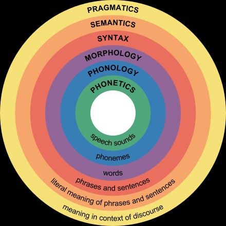 Linguistics Study, Phrases And Sentences, Language Acquisition, Speech Path, Speech Therapy Resources, Teach English, Speech Activities, Words And Phrases, Speech Pathology