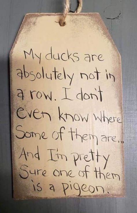 Ducks In A Row, Spiritual Meaning, Pigeon, Pretty Flowers, Ducks, The Row, Funny Quotes, Funny Memes, Inspirational Quotes