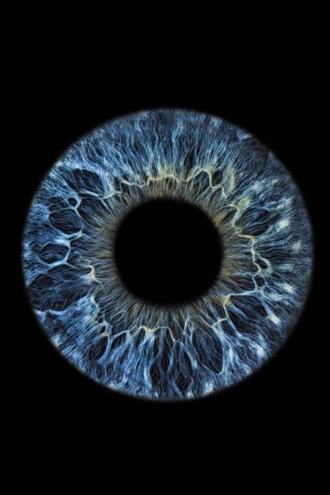 Eyeball Close Up, Eye Iris Photography, Iris Of The Eye, Iris Eye Photography, Eyes Close Up, Iris Photography Eye, Blue Iris Eye, Eyes Up Close, Meditation Yoga Poses