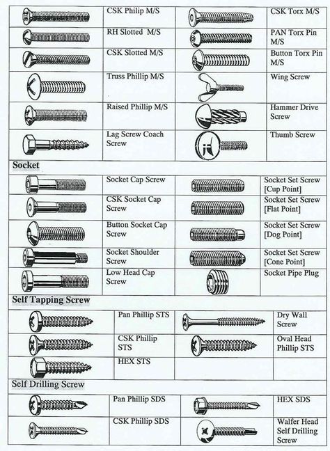 Mechanical Engineering: Different types of Screws Types Of Screws, Woodworking Bed, Woodworking Logo, Woodworking Workbench, Screws And Bolts, Diy Wood Signs, Garage Tools, Woodworking Workshop, Woodworking Jigs