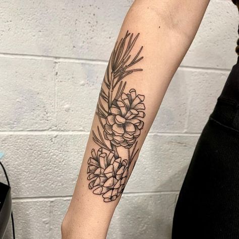 Pine Cone Branch Tattoo, Pnw Plant Tattoo, Pine Needle Tattoo Branches, Pine Sprig Tattoo, Tiny Botanical Tattoo, Pine Forest Tattoo, Pine Needle Tattoo, Green Witch Tattoo, Pine Branch Tattoo