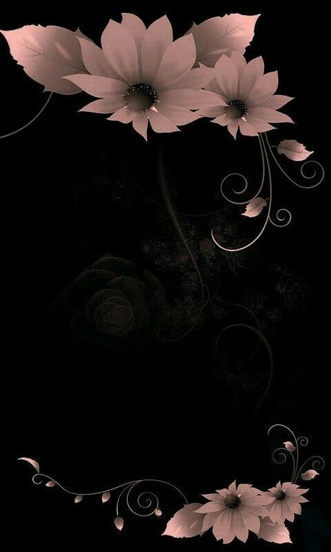 Gothic Wallpaper, Wallpaper Flower, Background Photos, Flowery Wallpaper, Black Background Wallpaper, Flower Background Wallpaper, In The Shadows, Beautiful Flowers Wallpapers, Backgrounds Phone Wallpapers