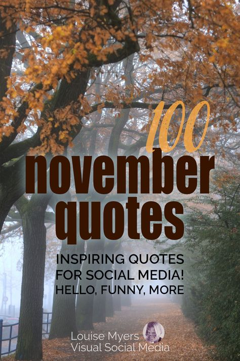 misty path lined with golden leafed trees says 100 november quotes to inspire on social media. Thankful November Quotes, Dear November Quotes, November Quotes Short, November Memes Humor, November Facebook Engagement Posts, November Thankful Quotes, November Quotes Inspirational, November Sayings Quote, November Funny Quotes