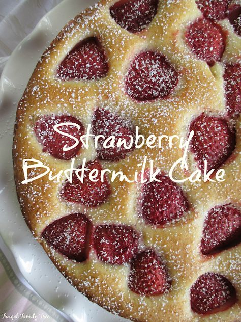 Back In The Day Bakery, Buttermilk Cake, Frugal Family, Star Struck, Bakery Recipes, Strawberry Recipes, Cake Ingredients, Decadent Desserts, Fruit Cake