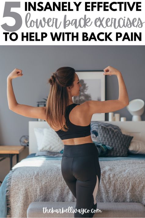 lower back exercises for strength Stability Workout Strength Training, Lower Back Workouts, Runners Core Workout, Best Lower Back Exercises, Low Impact Strength Training, Lower Back Workout, Exercises For Strength, Core Workout Gym, Glute Workout Gym