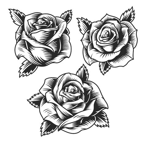 Hur Man Ritar Blommor, Rose Drawing Tattoo, Tattoos Quotes, Vintage Floral Backgrounds, Floral Tattoo Design, Rose Tattoo Design, Rose Drawing, Roses Drawing, Hand Drawn Flowers