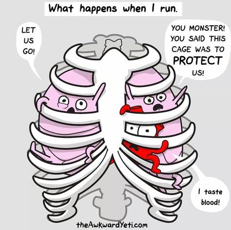 exercise pun #medicalhumor #med #medhumor #funny #smile #laugh #medschool #nursing #Nursingschool #nurses #rn #medstudent #medicalstudent Heart And Brain Comic, Heart Vs Brain, Awkward Yeti, The Awkward Yeti, Biology Humor, Funny Photo, Science Jokes, Bd Comics, Medical Humor