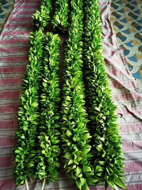 Sampangi Garland For Wedding, Jai Mala, Black Dessert, Unique Wedding Colors, Artificial Palm Leaves, Traditional Decoration, Wedding Flower Jewelry, Ganapati Decoration, Flower Garland Wedding