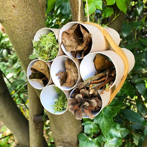 Nature.Play.Learn.Home🌳 on Instagram: “Recycled Bug House 🐞 Keep hold of your empty loo roll tubes and turn them into a fun project! We’ve gathered some into a circular…” Bug Hotels, Bug House, Forest School Activities, Bug Hotel, Insect Hotel, Allotment Gardening, Community Projects, Holiday Club, Fine Motor Skills Activities