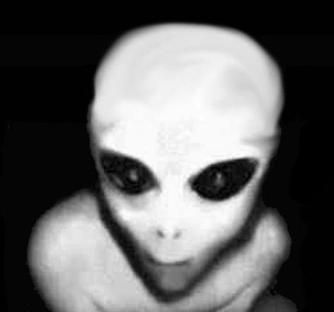 Fact or Fiction? Scary Alien, Fact Or Fiction, Five Night, Im Awesome, Aliens, Halloween Face, Face Makeup, Halloween Face Makeup, Media