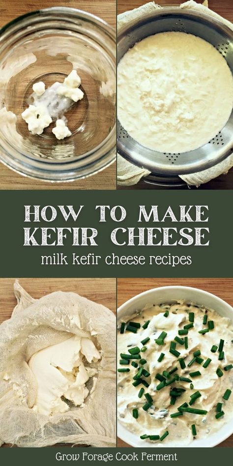 Kefir Cheese, Milk Kefir Recipes, Fermented Recipes, Milk Kefir Grains, Kefir Benefits, Cheese Recipes Homemade, Cultured Food, Kefir Recipes, Healthy Probiotics