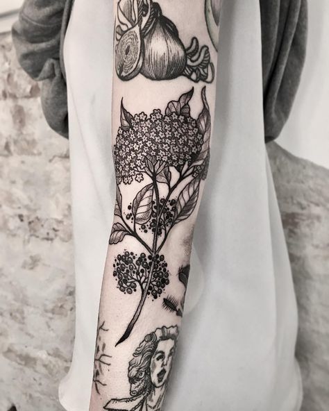 maret brotkrumen på Instagram: "Elderberry gapfiller from today, the tattoos around are a few month old/from last…" Ink Ideas, Body Mods, Flower Tattoos, Geometric Tattoo, Flower Tattoo, Tatting, Piercings, Tattoos, Flowers