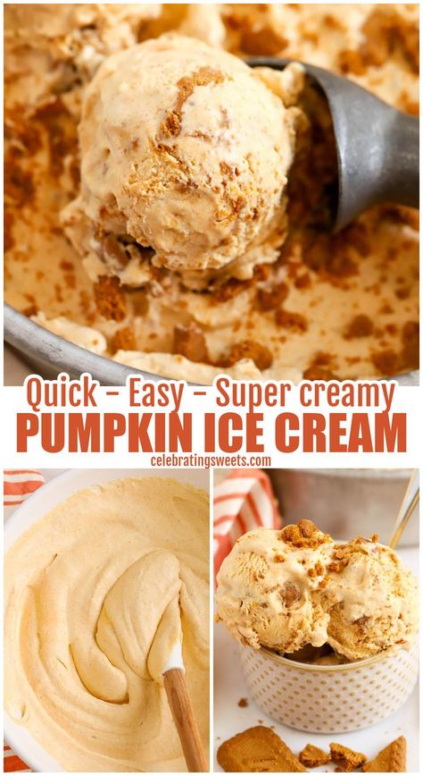 Pumpkin Spice Ice Cream Recipe, Peanut Butter Ice Cream Recipe, Pumpkin Ice Cream Recipe, Pie With Whipped Cream, Pumpkin Spice Ice Cream, Celebrating Sweets, Pumpkin Ice Cream, Peanut Butter Ice Cream, Yogurt Ice Cream