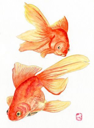 Goldfish Watercolor, Pretty Fish, One Fish Two Fish, Golden Fish, Library Art, Two Fish, One Fish, Fish Drawings, Chinese Painting