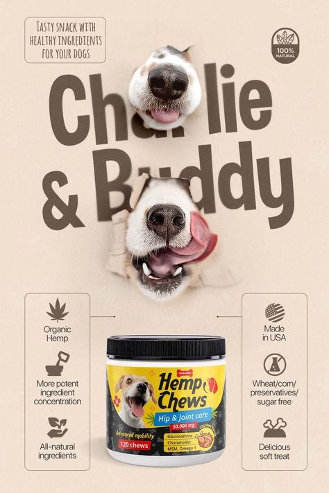 Hemp Mobility - Hemp Chews for Dogs + Glucosamine for Dogs -Hip & Joint Supplement for Senior Dogs MSM, Turmeric to Improve Mobility & Energy - Calming Chews for Dogs - Pain Relief Pet Advertising, Pet Food Packaging, Pet Branding, 잡지 레이아웃, Improve Mobility, Glucosamine Chondroitin, Pet Hotel, Pet Businesses, Dog Branding