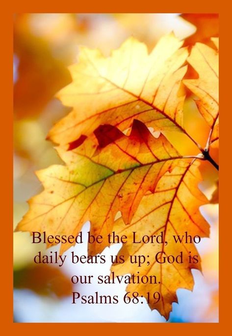 Fall Bible Verses, Scripture Wallpaper, Bible Things, Bible Verse Pictures, Good Morning Sunshine Quotes, Christ Quotes, Beautiful Scripture, Powerful Bible Verses, Good Morning Beautiful Images