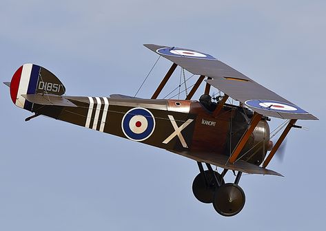 Camel By Camel Edit, Camel Photography, Camel In Desert, Sopwith Camel, Fixed Wing Aircraft, Ww1 Aircraft, C-119 Flying Boxcar, Aircraft Design, Camel