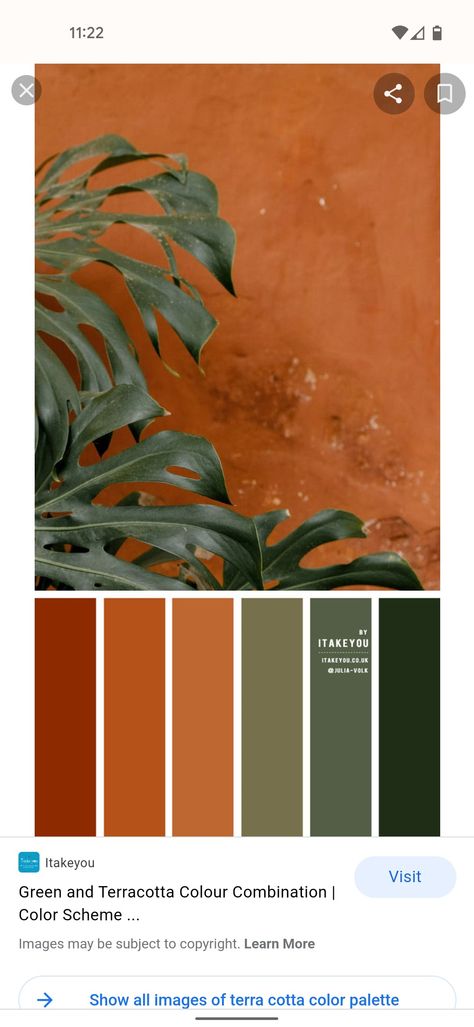 Terra Cotta Wall Color, Terra Cotta Living Room, Terra Cotta Color Palette, Terra Cotta Paint Color, Sage Living Room, Desert Color Palette, Terracotta Color Palette, Palette Wall, Atrium Design