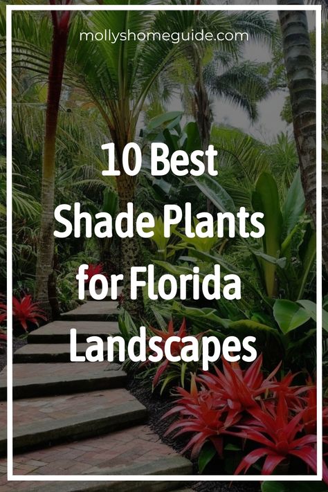 Discover the top shade plants for your Florida garden! Create a lush tropical oasis with the best shade plants for Florida. With a variety of tropical flowers and ground cover plants to choose from, you can easily achieve a vibrant and colorful garden all year round. Explore the perfect Florida perennials that thrive in shaded areas, as well as beautiful flowers that can brighten up any corner of your outdoor space. Best Shade Plants For Containers, Shaded Plant, Elephant Ears Plants Landscaping, Central Florida Landscaping Ideas, Florida Perennials, Plants In Florida, Plants For Florida, Best Shade Plants, Florida Landscaping Ideas