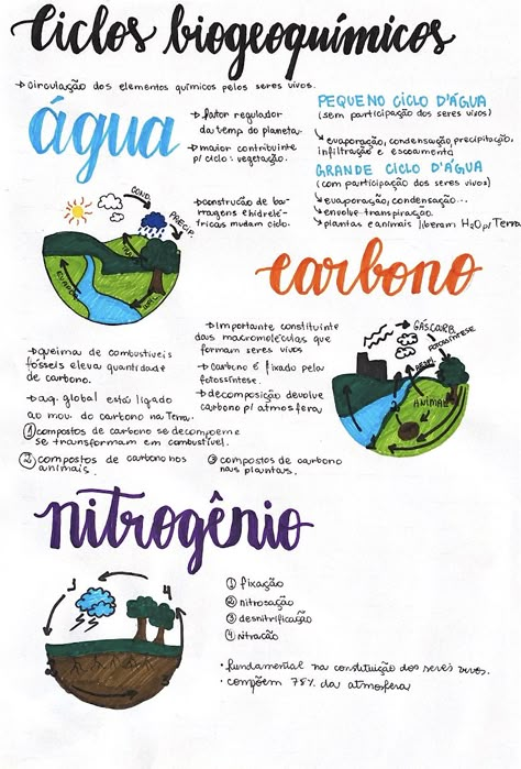 Resumo biologia ciclos biogeoquímicos Mental Map, Study Biology, Grammar Tips, Study Flashcards, Study Better, Study Pictures, Study Organization, Lettering Tutorial, Biochemistry