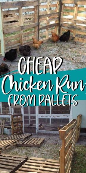 Coop Extension, Chicken Coop Extension, Pallet Chicken Coop, Chicken Coop Designs Diy, Fence Extension, Building A Chicken Run, Chicken Enclosure, Cheap Chicken Coops, Chicken Fence