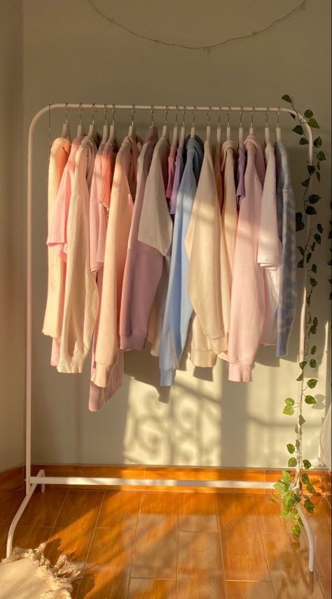 Clothes Rack Hanger, Pink Clothing Rack Aesthetic, Closet Rack Aesthetic, Dress Hanger Stand, Bedroom Ideas Pastel Colors, Closet Aesthetic Small, Boutique Dressing Room Ideas, Bedroom Ideas Pastel, Rowan Core