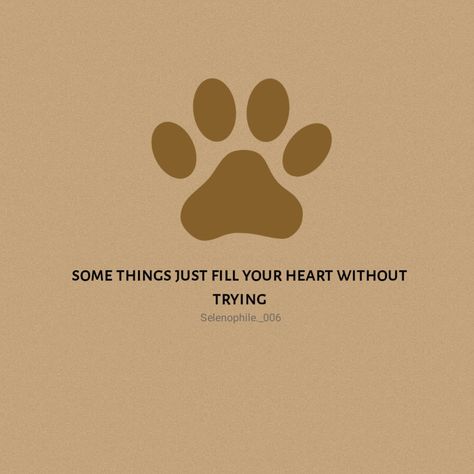 Cat N dog Quote Dog Healing Quotes, Paw Quotes, Pet Quotes, Pet Theme, Animal Clinic, Giving Quotes, Tiny Quotes, Dog Quote, Self Inspirational Quotes