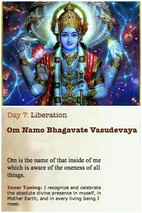 Om Namah Bhagwate Vasudevaya, Hindi Goddess, Om Meaning, Om Namo Bhagavate Vasudevaya, Om Namo Narayana, Chanting Mantras, Sanskrit Mantras, Vishnu Mantra, Indian Culture And Tradition