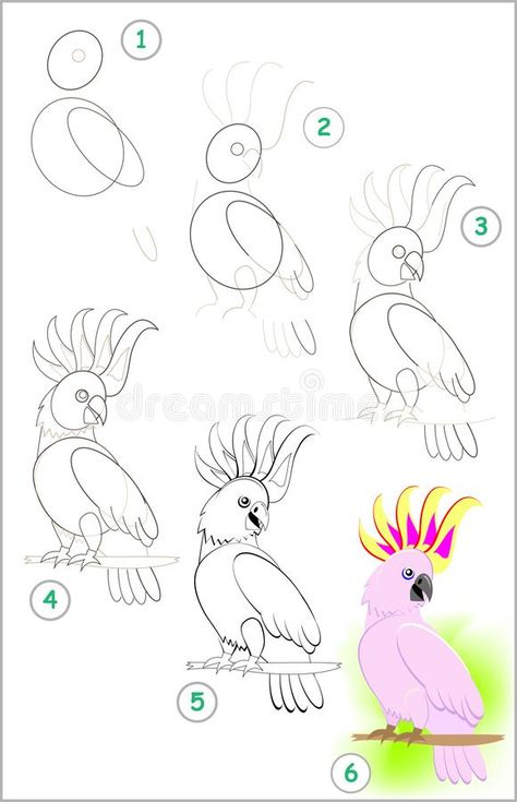 Page shows how to learn step by step to draw a cute little cockatoo parrot. Developing children skills for drawing and coloring. stock illustration Coloring Illustration, Parrot Drawing, Drawing Tutorials For Beginners, Collage Art Projects, Colorful Parrots, Childrens Drawings, Cartoon Sketches, Tropical Art, Art Drawings For Kids