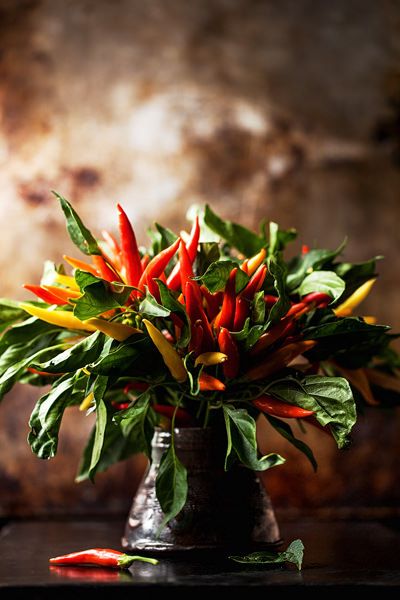 . Chili Peppers Decor, Vegetable Bouquet, Mexican Party Decorations, Raindrops And Roses, Dark Food Photography, Thai Chili, Chili Cook Off, Fundraiser Ideas, Chilli Pepper