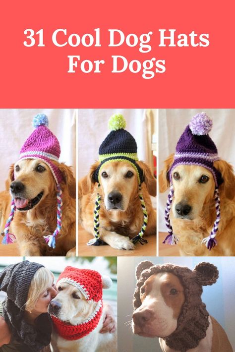 Crochet Dog Hat Large, Knit Hats For Dogs Pattern, Crochet Dog Leggings, Free Crochet Pattern For Large Dog Hat, Crocheted Dog Hats Free Pattern, Hats For Dogs Crochet Free Pattern, Free Dog Hat Knitting Pattern, Crochet Dog Hat Patterns Free, Crochet Large Dog Hat