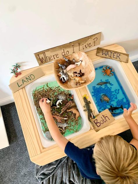 Sensory Bin Ideas For 20 Month Old, Habitat Sensory Bins, Sensory Bin For 3 Year, Dragon Sensory Bin, Sensory Stations, Themed Sensory Bins, Sensory Table Ideas, Sensory Bin Ideas, Toddler Sensory Bins