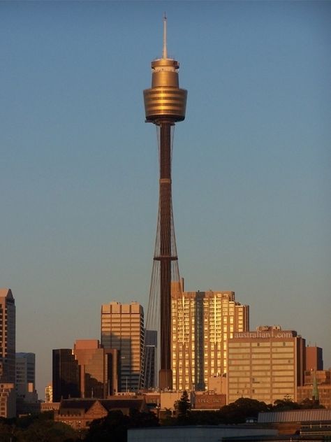 Sydney Tower (also known as the Sydney Tower Eye, AMP Tower, Westfield Centrepoint Tower, Centrepoint Tower or just Centrepoint) is Sydney's tallest free-standing structure, and the second tallest in Australia Sydney Tower, برج العرب, Sydney Hotel, Sydney City, Beautiful Places In The World, Canberra, Australia Travel, Tasmania, Sydney Australia