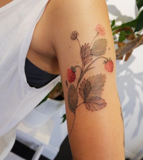 Red Strawberry Tattoo, Strawberry Plant Tattoo, Tattoo Abstract, Strawberry Tattoo, Strawberry Plant, Floral Tattoos, Plant Tattoo, Strawberry Plants, Tat Ideas