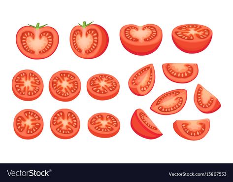 Tomato Drawing, Vegetable Slice, Vegetable Illustration, Adobe Illustrator Tutorials, Cute Food Drawings, Baby Drawing, Plan Drawing, Tree Photography, Sliced Tomato