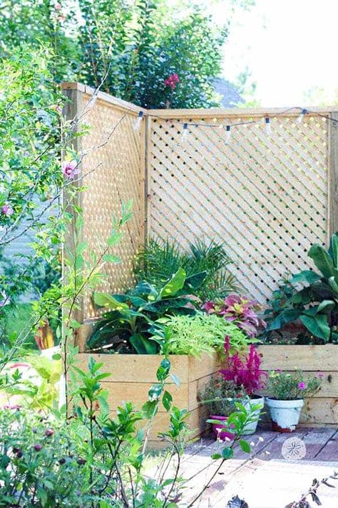 Diy Cheap Fence, Cheap Fence Ideas, Diy Privacy Fence, Diy Privacy Screen, Decorative Garden Fencing, Cheap Fence, Privacy Fence Designs, Garden Privacy, Diy Fence