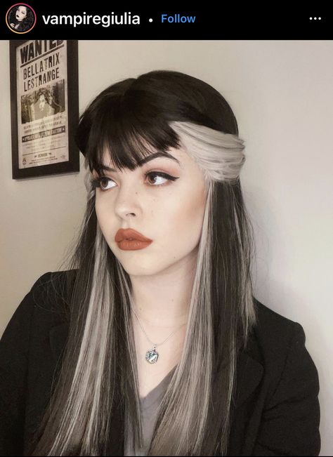 White Streak In Hair, Narcissa Black, Silver Wig, Color Block Hair, Black White Hair, Skunk Hair, Split Dyed Hair, Goth Hair, Dyed Hair Inspiration